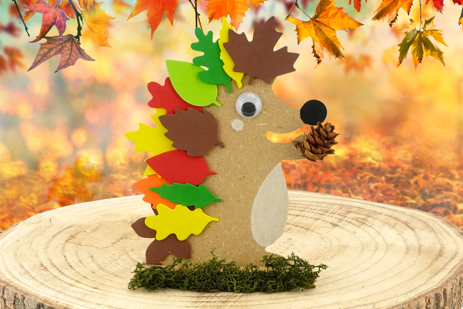 Louison le hérisson