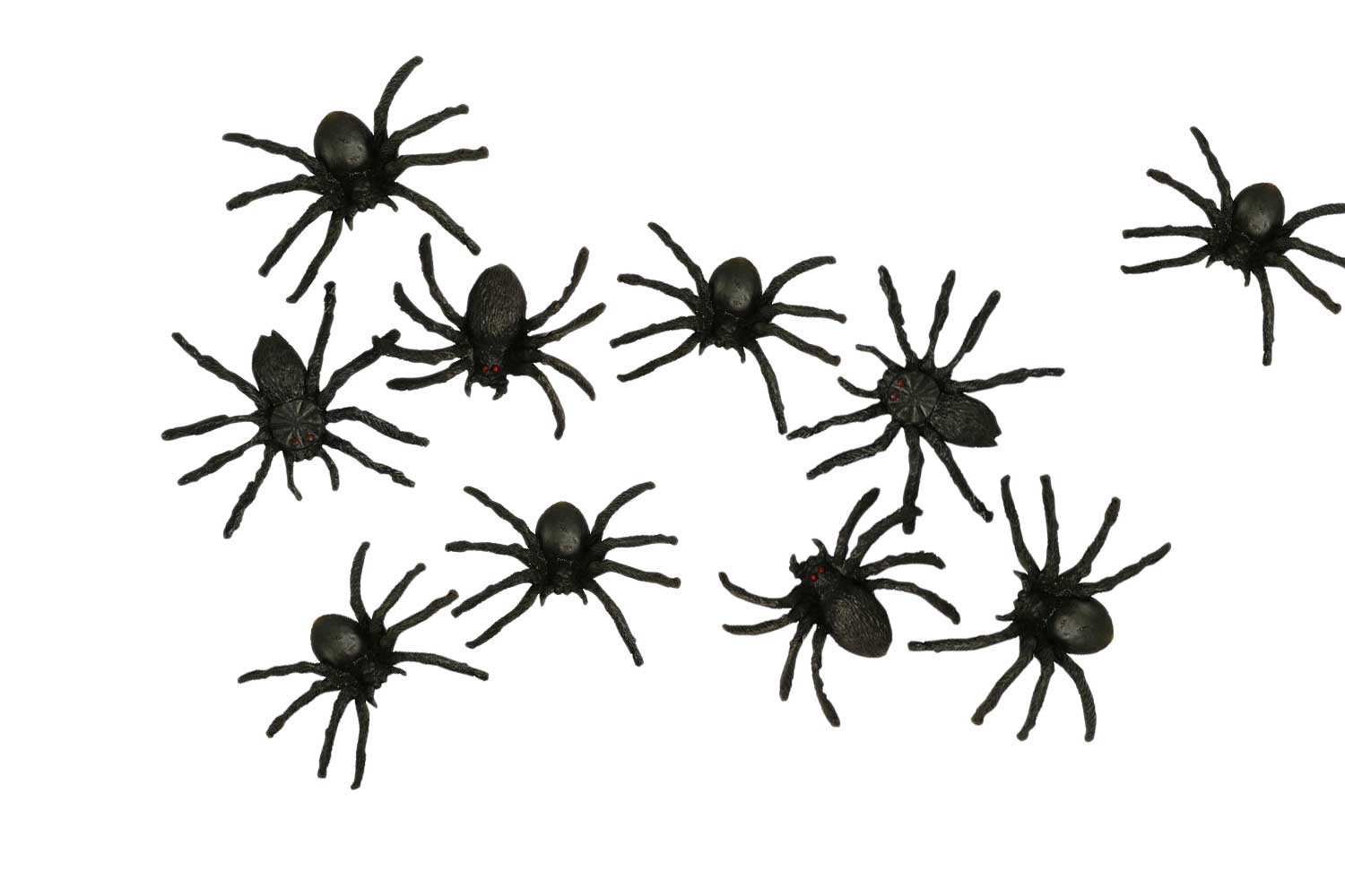 Billes araignées  Nature & Découvertes