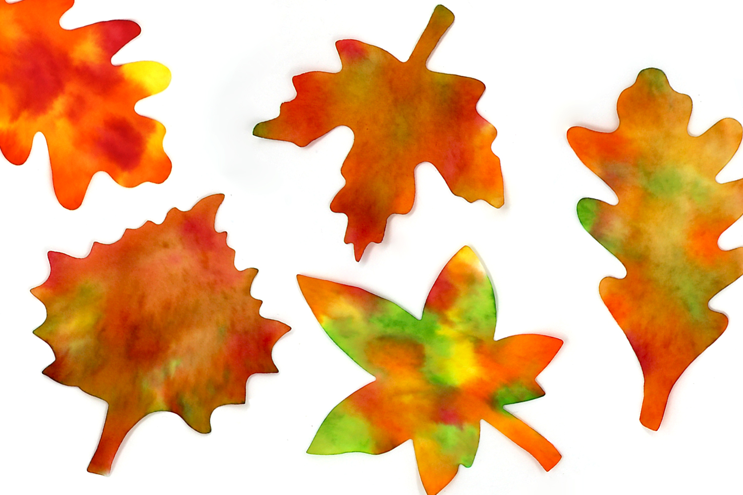 Coloriage cadre photo en feuilles d'automne