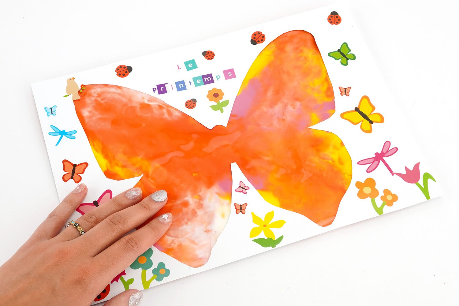Peinture propre papillon
