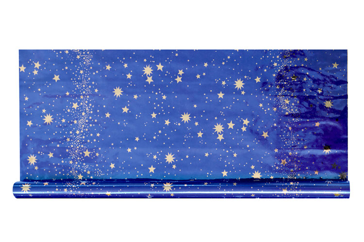 Papier cadeau Bleu brillant motifs animaux espace dès 56.50€