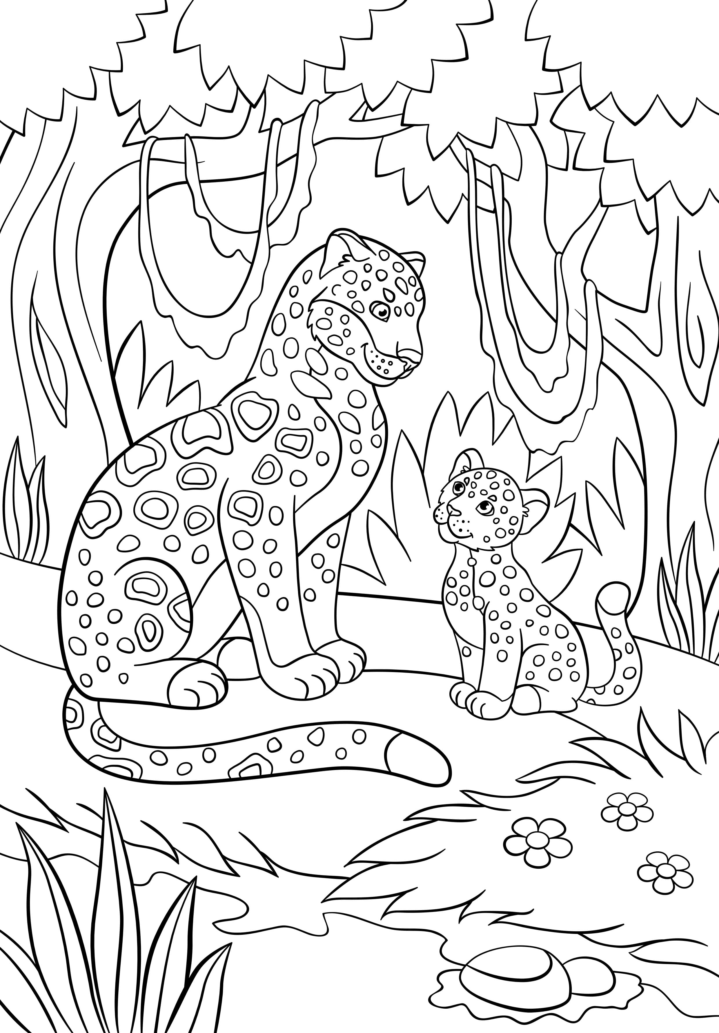 Coloriage Animaux De La Jungle Dessin Animaux De La Jungle à imprimer