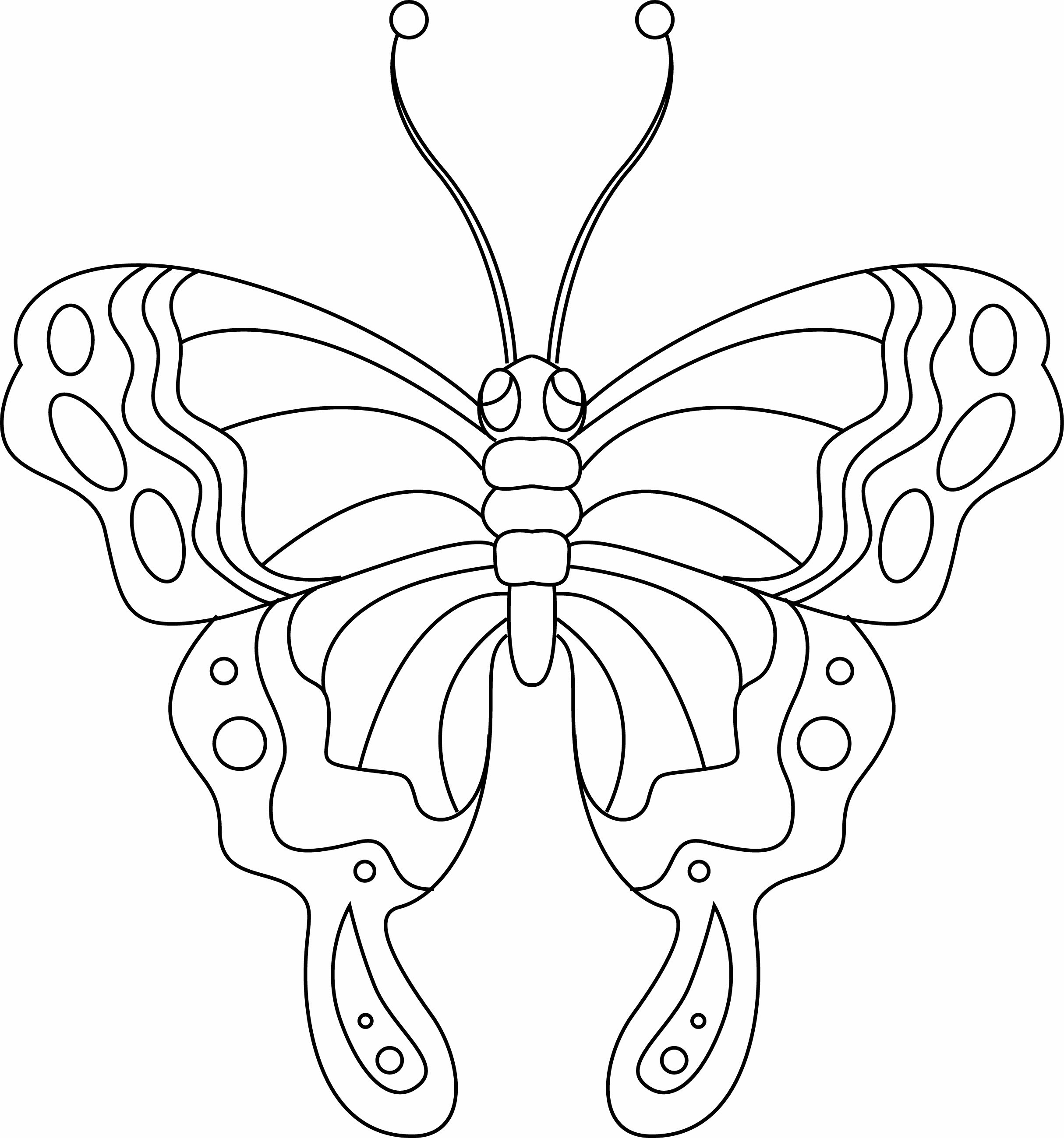 Coloriage papillon : 75 dessins à imprimer